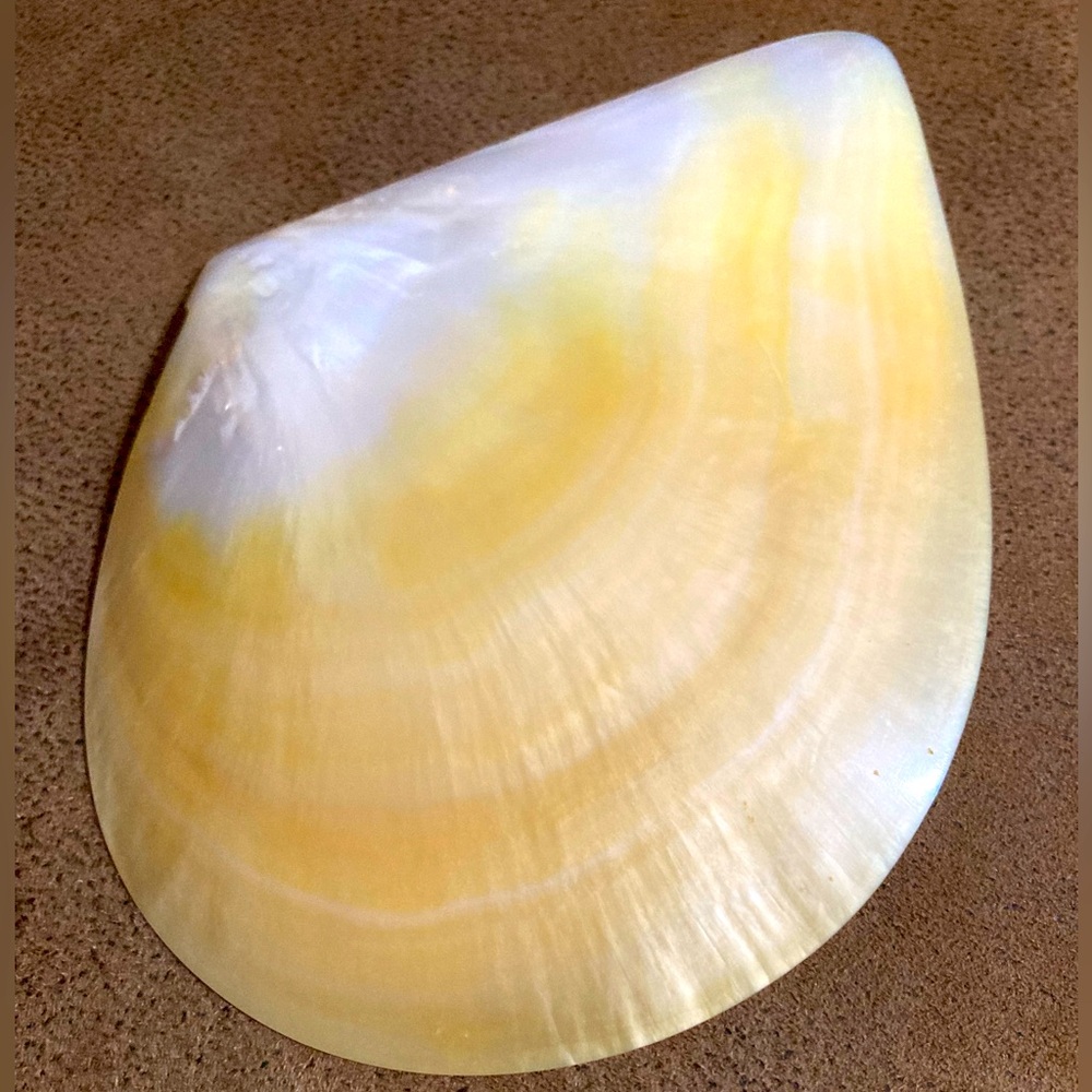 Handcrafted Mother of Pearl Caviar Serving Dish
